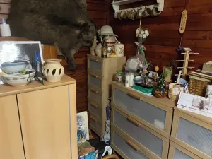 Dražba rodinného domu, Bílčice, 50 m2