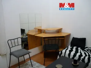 Pronájem bytu 1+kk, Praha - Vinohrady, Mánesova, 16 m2