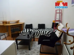 Pronájem bytu 1+kk, Praha - Vinohrady, Mánesova, 16 m2