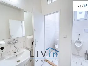 Pronájem kanceláře, Olomouc, Karolíny Světlé, 68 m2