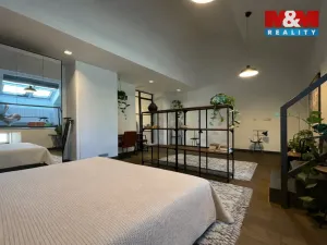 Pronájem bytu 2+kk, Praha - Nové Město, Revoluční, 92 m2