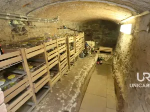 Prodej rodinného domu, Letovice - Zboněk, 170 m2