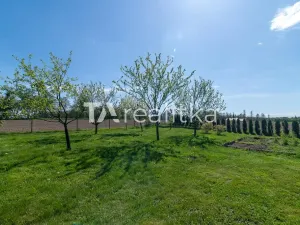 Prodej zahrady, Dolní Lutyně, Mezi Cestami, 2200 m2