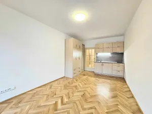 Pronájem bytu 1+kk, Praha - Žižkov, Biskupcova, 30 m2
