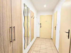 Pronájem bytu 1+kk, Praha - Žižkov, Biskupcova, 30 m2