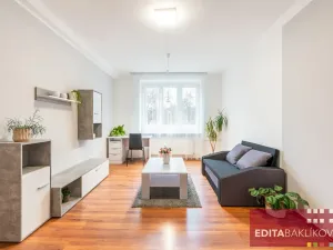 Pronájem bytu 1+1, Olomouc, Dr. Milady Horákové, 39 m2