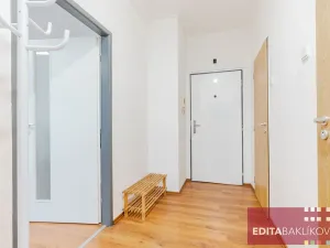 Pronájem bytu 1+1, Olomouc, Dr. Milady Horákové, 39 m2