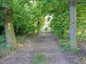 Prodej pozemku pro bydlení, Trnová, 871 m2