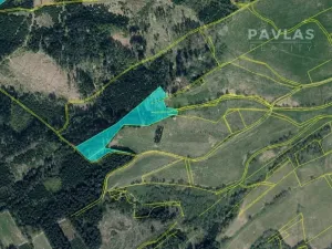 Prodej lesa, Jiříkov, 126160 m2