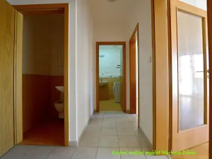 Pronájem bytu 2+kk, Praha - Žižkov, Za Vackovem, 64 m2