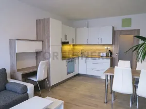 Pronájem bytu 1+kk, Brno, Vídeňská, 32 m2