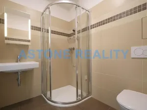 Pronájem bytu 1+1, Praha - Vokovice, Na dlouhém lánu, 43 m2