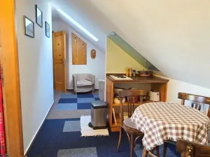 Prodej ubytování, Český Rudolec, 560 m2