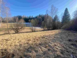 Prodej pozemku, Čachrov - Javorná, 10377 m2