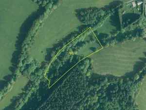 Prodej pozemku, Čachrov - Javorná, 10377 m2