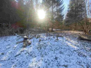 Prodej pozemku, Čachrov - Javorná, 2391 m2