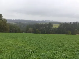 Prodej pozemku, Nové Hrady, 2679 m2