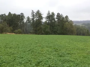 Prodej pozemku, Nové Hrady, 2679 m2