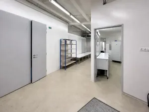 Pronájem skladu, Praha - Nusle, Mojmírova, 165 m2