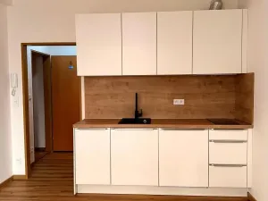 Pronájem bytu 1+kk, Praha - Žižkov, Seifertova, 21 m2