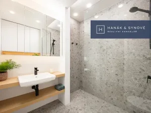 Pronájem bytu 1+kk, Brno, Koliště, 22 m2