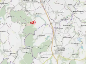 Prodej lesa, Bratčice, 5000 m2