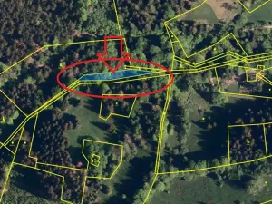 Prodej lesa, Krásná, 824 m2