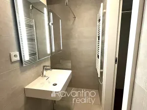 Pronájem bytu 1+kk, Brno, Studentská, 25 m2