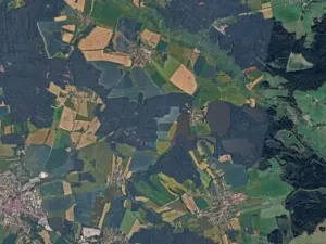 Prodej podílu lesa, Olešnice, 303 m2