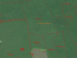 Prodej pole, Bělá nad Radbuzou, 174301 m2