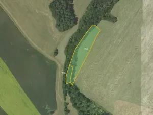 Prodej pole, Drahany, 16415 m2