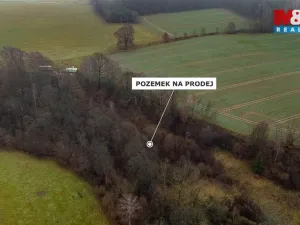 Prodej louky, Bílá - Hradčany, 6046 m2