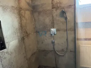 Prodej rodinného domu, Planá, 150 m2