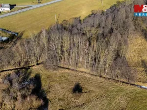 Prodej louky, Dětřichov, 4178 m2