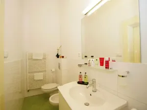 Pronájem bytu 4+1, Praha - Vinohrady, Anny Letenské, 160 m2