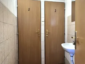 Pronájem obchodního prostoru, Písek, Budějovická, 110 m2