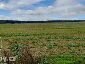 Dražba sadu/vinice, Lišany, 24161 m2