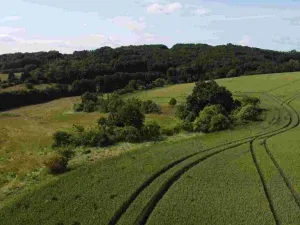 Prodej pozemku, Dobrkovice, 30313 m2