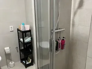 Pronájem bytu 2+kk, Praha - Žižkov, Jeseniova, 45 m2