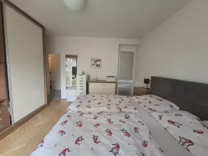 Prodej bytu 2+1, Brno, Purkyňova, 60 m2