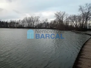 Prodej rodinného domu, Vestec, K Rybníku, 330 m2