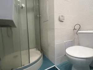 Pronájem bytu 1+kk, Ústí nad Labem - Ústí nad Labem-centrum, Hoření, 22 m2