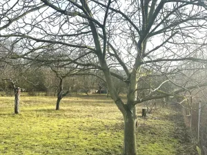 Prodej pozemku pro bydlení, Oskořínek, Ronovská, 1729 m2