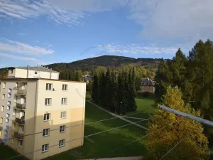 Prodej bytu 3+1, Jeseník, Bezručova, 75 m2