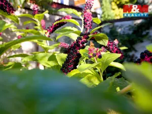 Prodej rodinného domu, Lovosice, L. Janáčka, 120 m2