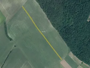 Prodej pole, Starý Poddvorov, 7224 m2