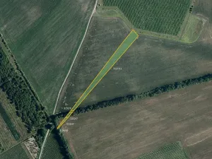 Prodej pole, Nový Poddvorov, 10754 m2