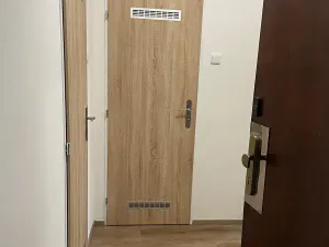 Pronájem bytu 1+kk, Praha - Libeň, Čihákova, 30 m2