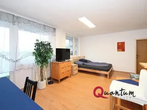 Prodej bytu 2+kk, Praha - Žižkov, Pod lipami, 61 m2