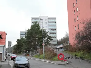 Prodej bytu 2+kk, Praha - Žižkov, Pod lipami, 61 m2